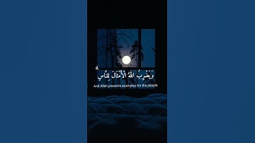 [  نور على نور ] - القارئ شريف مصطفى سورة النور #اكسبلور #قرآن #شريف_مصطفى
