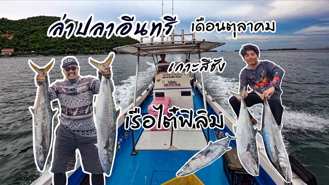 ล่าปลาอินทรีเกาะสีชัง #ตกปลาอินทรี #เรือไต๋ฟิล์ม #เกาะสีชัง 