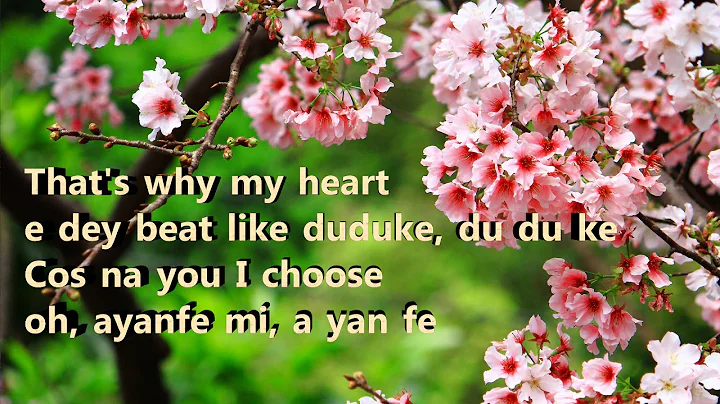 Simi - Duduke (Instrumental with lyrics)