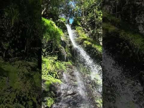 【滝めぐり】⑤「布水の滝（ぬのみずのたき）」滝壺から🌈虹を見る！【2024/12/04】熊本県球磨郡あさぎり町 #waterfall