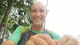 Super Seven Crystal, Its Meaning And Healing Power