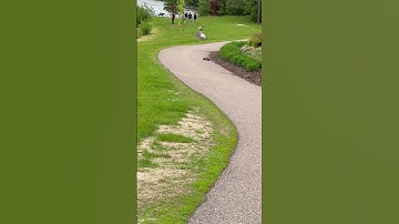 Slow moving Traxxas Rustler