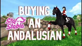 SSO | Buying An Andalusian!