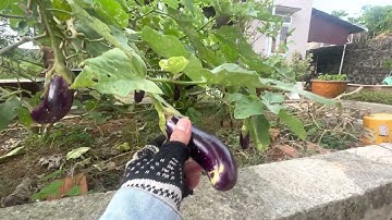 CĂN BIỆT THỰ SIÊU VIP , VIEW CỰC ĐỈNH TP BẢO Lộc giá CHỈ 5 Tỷ 2