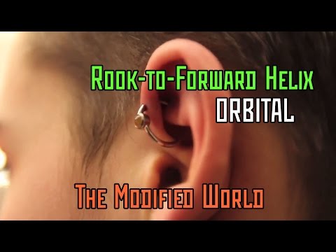 Orbital Piercing - Rook to Forward Helix- THE MODIFIED WORLD