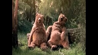 McDonald's Restaurants-Norwegian The Lazy Bears 2000's TV Commercial HD