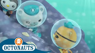 Octonauts - Underwater Stories Compilation | Cartoons for Kids | Underwater Sea Education