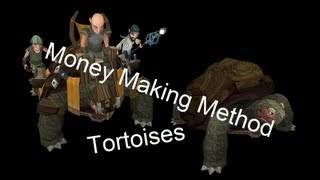 Runescape Money Making Method - Tortoises - 384k/h