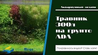 Аквариум травник 300л на грунте ADA с самодельным светом, фильтром и УДО