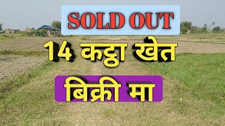 14 कट्ठा खेत बिक्री मा | nepal ghar jagga | morang sasto khet | Rajan rai