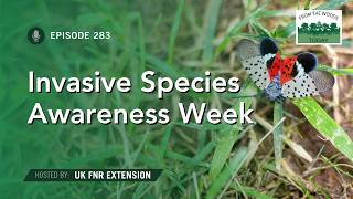 Invasive Species Awareness Week - From the Woods Today - Episode 283