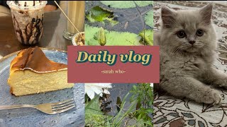 Daily vlog as a mother, cooking, lotus flower small lake, eating , having fun