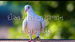 whatsapp 💜status ❤dost maro jigar jaan lakho ma ek