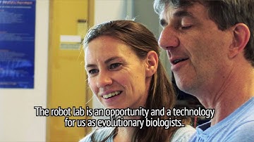 Robot Baby Project by Guszti Eiben on evolving robots / The Evolution of Things