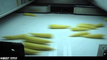 Baby corn sorting machine Genius - TOMRA Sorting