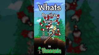 What is The Max Summons in Terraria?