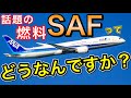 期待し過ぎ？ANA/JALが環境問題の救世主として期待するSAF（持続可能な航空燃料）の実現の難しさを解説する