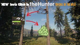 The BEST glitch is BACK in the Hunter Call of The Wild!!