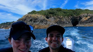 Goat Island Marine Reserve New Zealand 4k