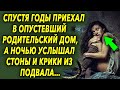 Спустя годы он приехал в родительский дом, а ночью услышал странные звуки из подвала…