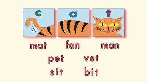 Break it Down | Science of Reading | Phonics Song | EduTunes With Miss Jenny