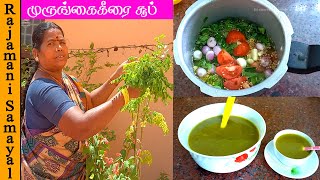 முருங்கைகீரை சூப் | Murungai Keerai Soup | immunity boosting Drumstick leaves soup(Rajamani Samayal)