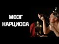 Как устроен мозг нарцисса? Актуальные исследования.