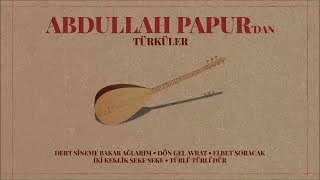 Abdullah Papur - Dert Sineme Bakar Ağlarım  Resimi