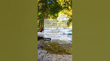 اللهم يا واسع الرحمة يا مجيب الدعاء قرآن Quran قران كريم دعاء ادعية Shorts Short Fyp 