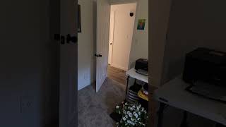 How to find your cat when they go missing!