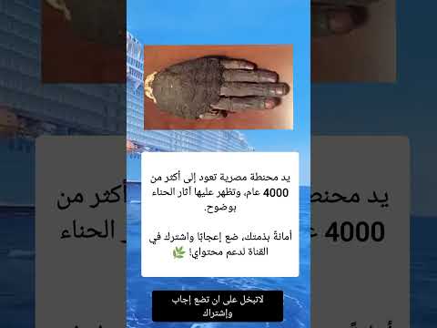يد محنطة مصرية تعود إلى أكثر من 4000 عام وتظهر عليها آثار الحناء بوضوح السعودية اكسبلور ترند