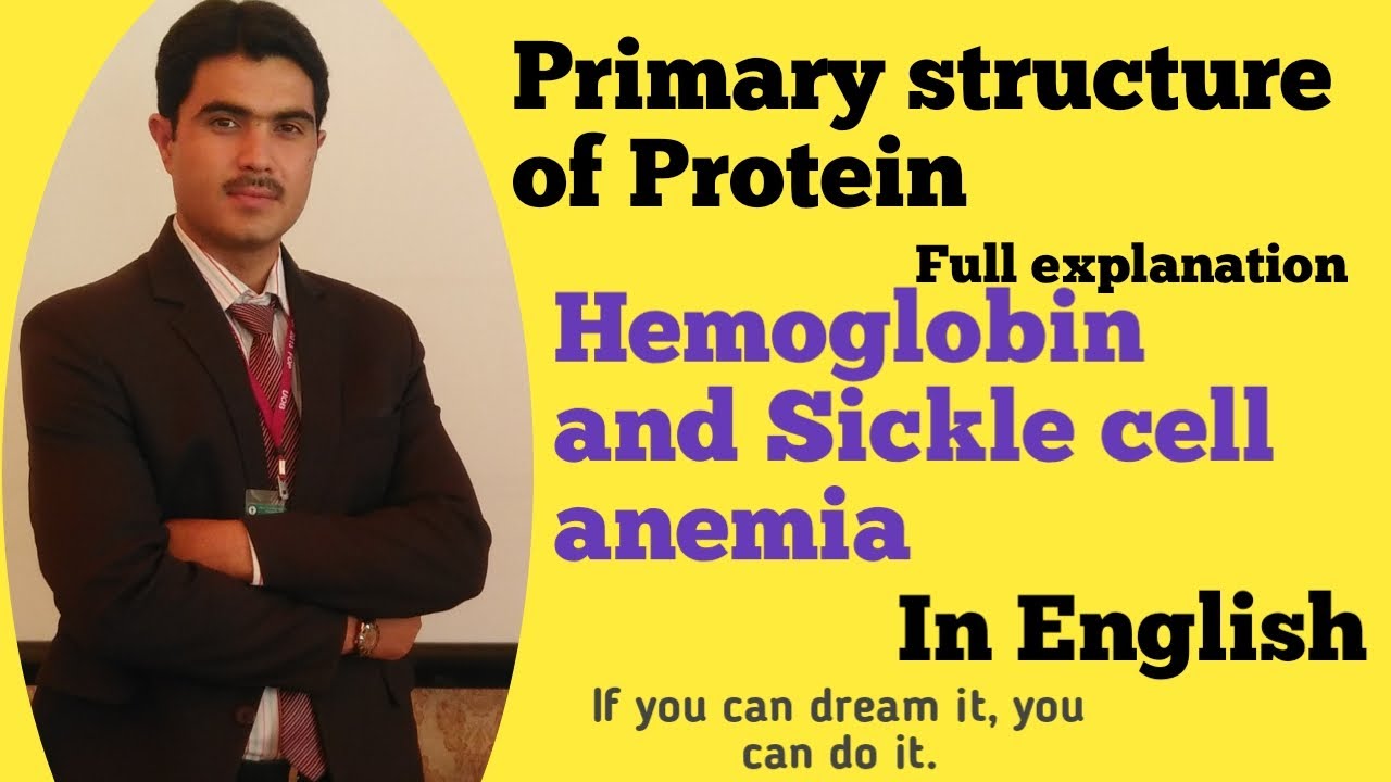 Primary structure of protein in Detail in English by Dr Hadi