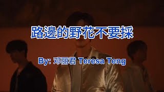 路边的野花不要采 Lu Bian De Ye Hua Bu Yao Cai Karaoke - 邓丽君 Teresa Teng