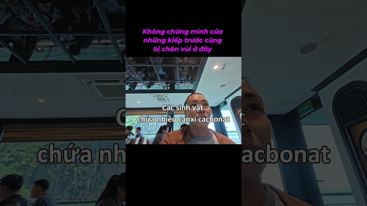 Không chừng mình của nhữngkiếp trước cũng bị chôn vùi ở đây