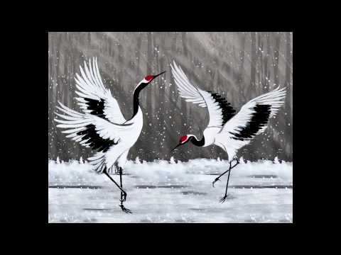 Dancing Cranes- by Lucy Wang .mov