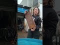 chapas de ferro e ferro fundido