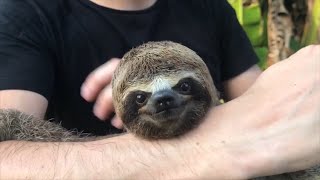 Otto & I - Can't Be Still (Music Video)