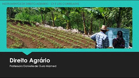 Como são divididos os estabelecimentos agrícolas no Brasil?