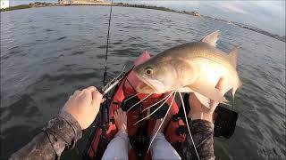 Fishing the Brisbane River Ep 8  Bulimba Creek Mouth, Sunset Gold!