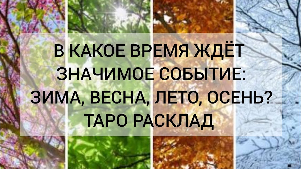 В КАКОЕ ВРЕМЯ ЖДЁТ ЗНАЧИМОЕ СОБЫТИЕ: ЗИМА,ВЕСНА,ЛЕТО,ОСЕНЬ? Расклад таро 