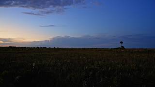 Florida Moments of Zen: Experience the Night Sky at Kissimmee Prairie State Park
