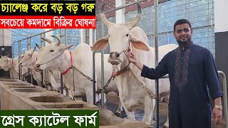 2024 ঈদে গ্রেস ক্যাটেল ফার্ম চ্যালেঞ্জ করে ঘোষনা দিলেন বড় বড় গরু সবচেয়ে কমদামে বিক্রি করবেন