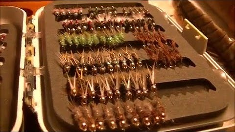 A Three Midge Combo