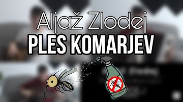 Aljaž Zlodej - Ples komarjev (Niko Zajc) - 4K