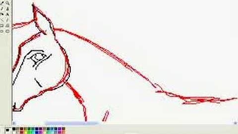 How to draw a horse tutorial part 1