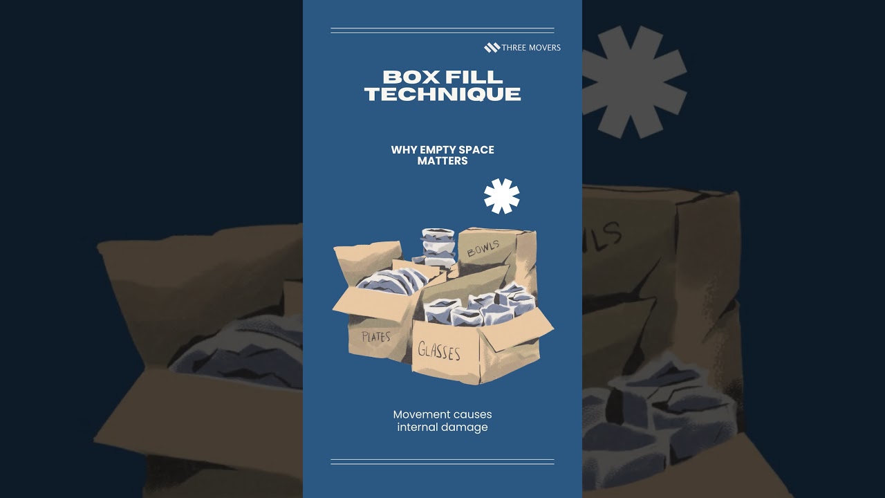 Daily Faq's by Threemovers. 