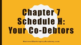 Chapter 7 Schedule H Preview, Official Bankruptcy Form 106H