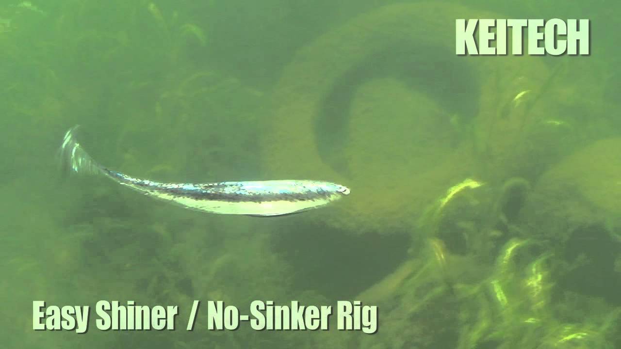 Keitech Easy Shiner Swimbait 4
