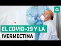 Covid-19 | Ivermectina, el prometedor antiparasitorio para curar el coronavirus