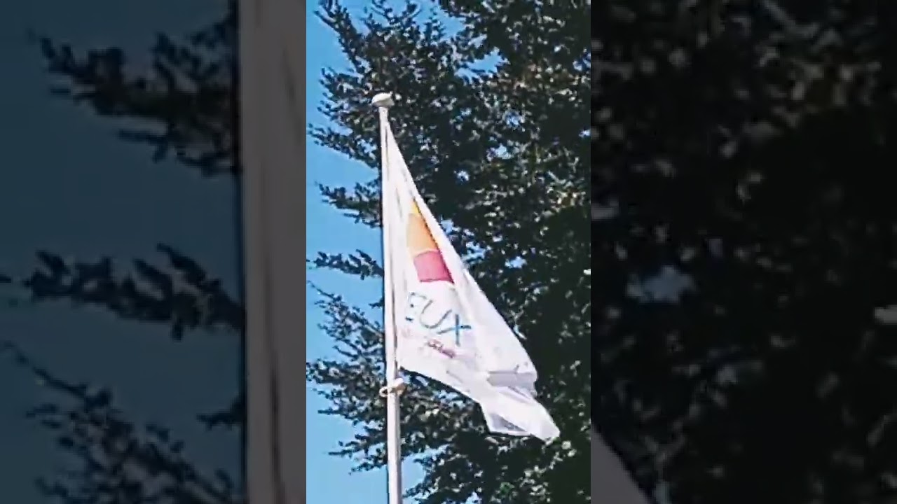 Lisieux Normandie plein cœur + drapeau de Normandie .deux lions jaunes